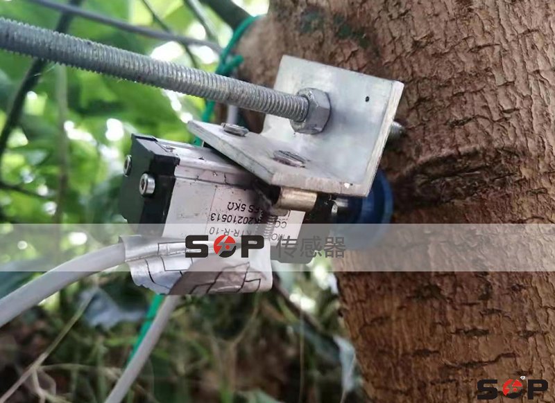 SOP自復位傳感器KTR檢測樹的成長情況